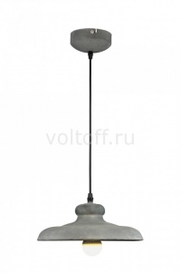 Arte Подвесной светильник Loft A5025SP-1BG