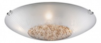 Odeon Light Накладной светильник Ostia 2 2610/4C