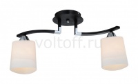 IDLamp Светильник на штанге 860 860/2PF-Dark