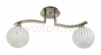 IDLamp Светильник на штанге 863 863/2PF-Oldbronze