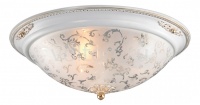 Odeon Light Накладной светильник Corbea 2670/3C