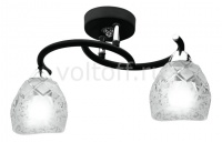 IDLamp Светильник на штанге 381/2PF-Blackchrome