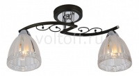 IDLamp Светильник на штанге 232/2PF-Blackchrome