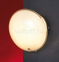 Lussole Накладной светильник Mattina LSQ-4301-01