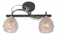 IDLamp Накладной светильник 218/2PF-Blackchrome