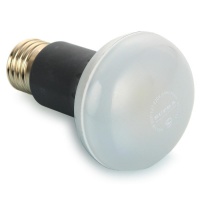 Supra Лампа светодиодная  SL-LED-PR-R63-5W/3000/E27