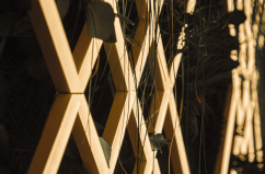 Дачная осень: две идеи сделать отдых еще лучше